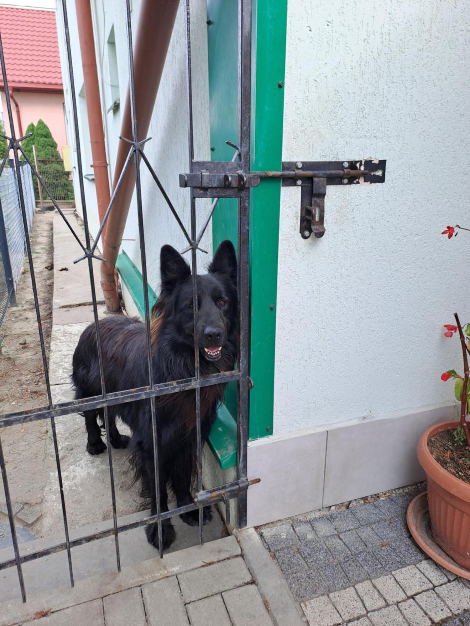 Pokoje Goscinne Zaglobianka Przemyśl Buitenkant foto